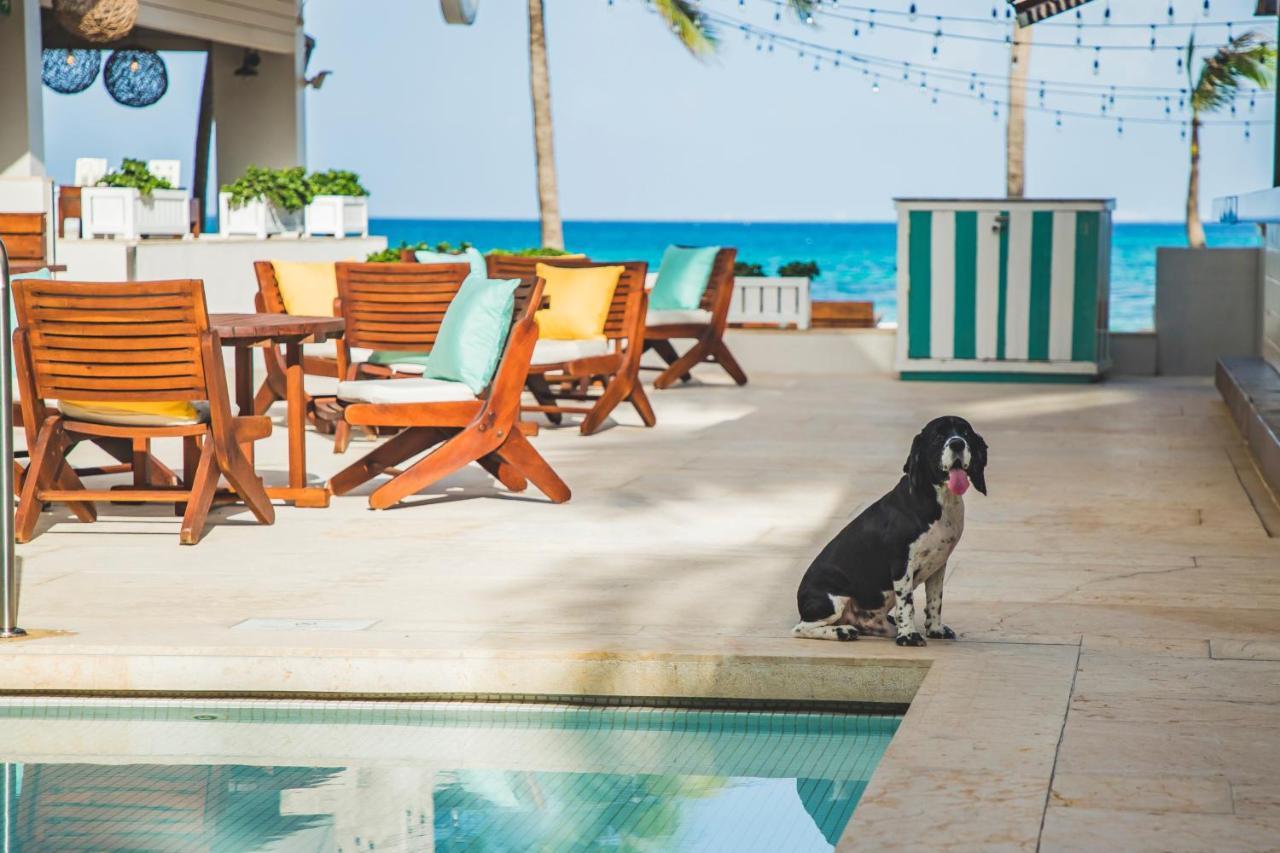 Thompson Playa Del Carmen Beach House, By Hyatt Ngoại thất bức ảnh