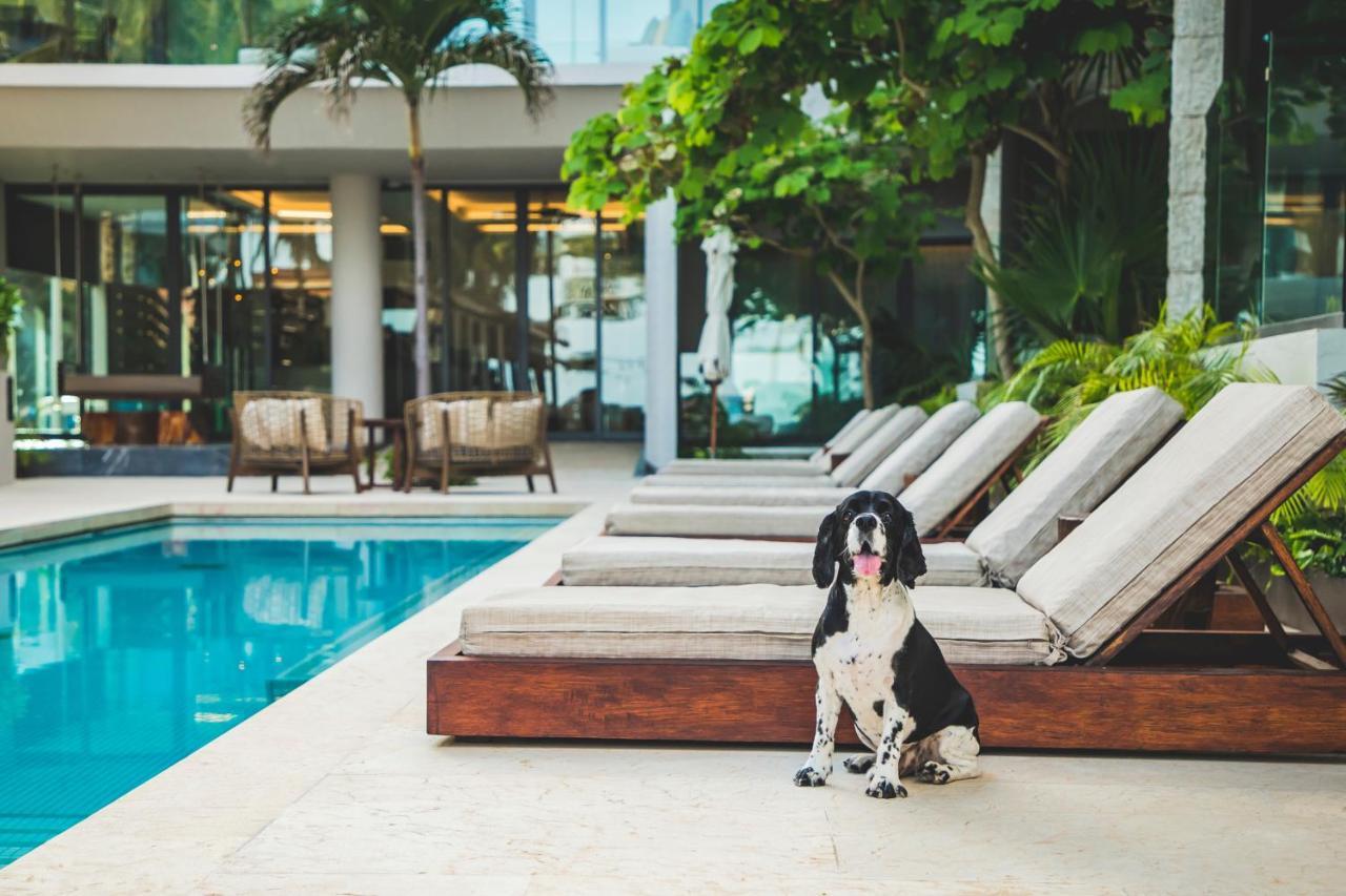 Thompson Playa Del Carmen Beach House, By Hyatt Ngoại thất bức ảnh